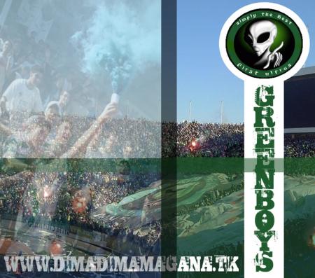 dima Green Boys Tal Mouttttt