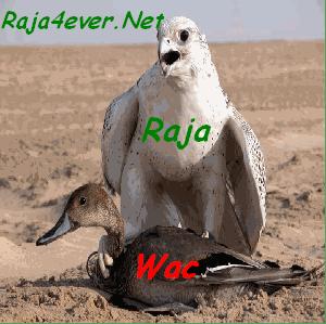 nsr hwa batt