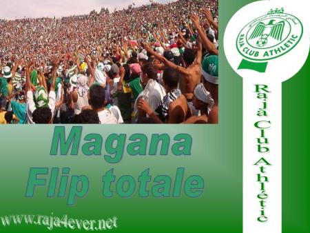 magana flip total